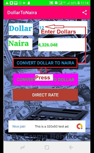Android application Dollar To Naira Converter screenshort