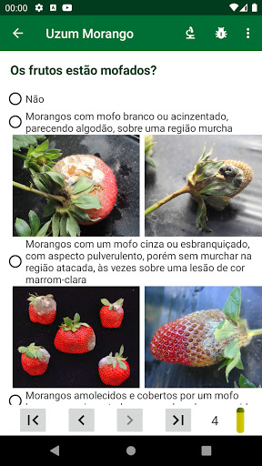 Uzum Morango Screen 2