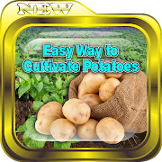 Top 39 Books & Reference Apps Like Easy Ways to Cultivate Potatoes - Best Alternatives