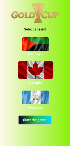 Gold Cup 2024: Simulator Game Screen 3