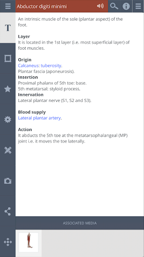 Leg and Foot 3D RT - Sub