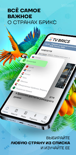 TV BRICS