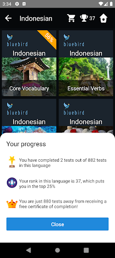Indonesian Language Tests Screen 3
