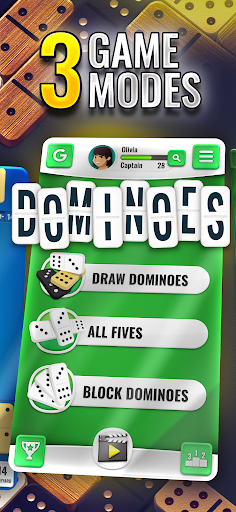 Dominoes - Offline Domino Game  screenshots 19