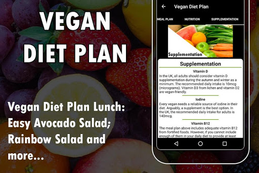 Vegan Diet Plan