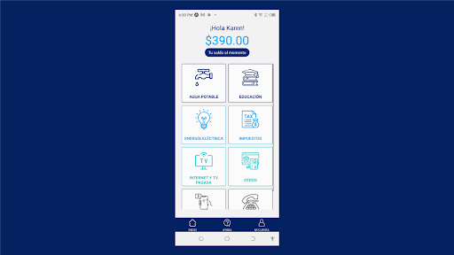 Payroll Dice screenshot 12