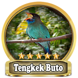 Chirping Tengkek Buto Top icon