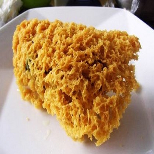 Tutorial for delicious fried f