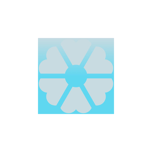 SWT Boutique logo
