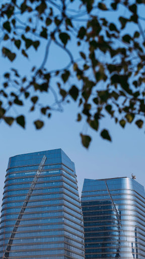 São Paulo Wallpaper