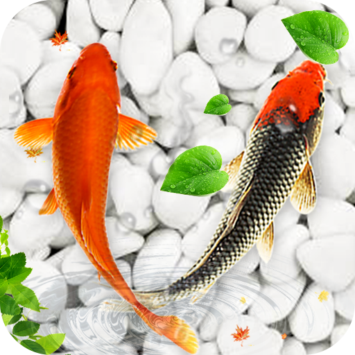 Yolo Fish APK for Android Download