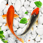 Cover Image of Baixar Koi Fish Live Wallpapers HD  APK