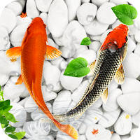 Koi Fish Live Wallpaper: New Fish Backgrounds HD
