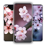 Cover Image of Tải xuống Sakura Flowers Wallpaper 1.0 APK