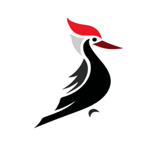 Woodpecker Download on Windows