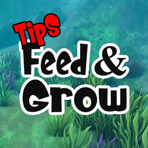 Feed Fish and Grow Guide