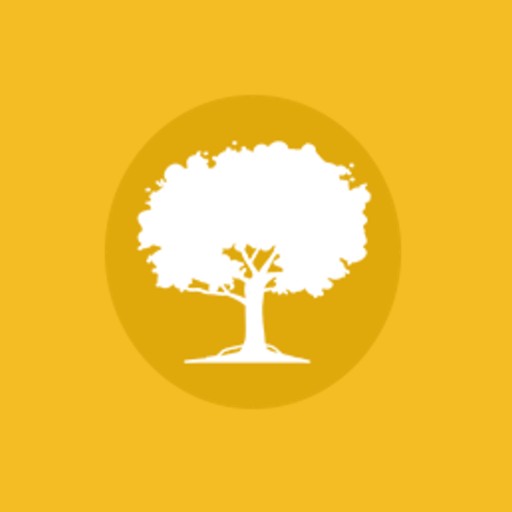 RAJ - PDV Mesa logo