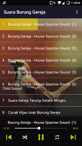 Bird: Eurasian Tree Sparrow Screen 3