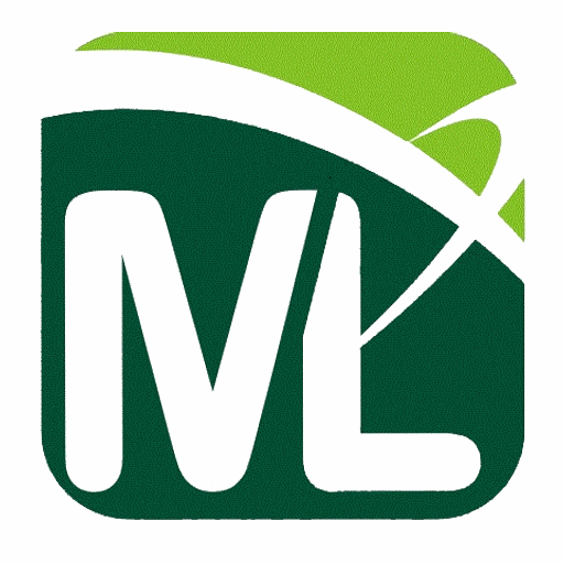 Meira e Luna Contabilidade logo