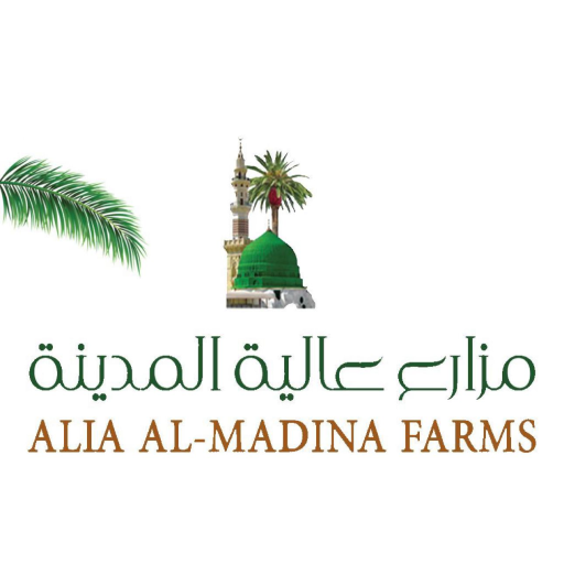 تمور عالية المدينة logo
