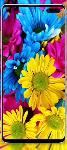 Flowers cute wallpaper