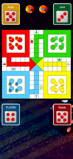 Ludo Princee Screen 2