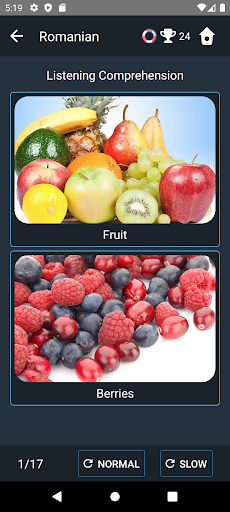 Romanian Language Tests