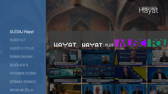 Hayat Media