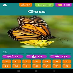 Animal Quiz - Screenshot 3