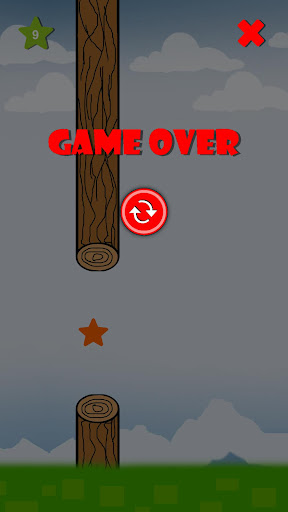FlyBird Screen 3
