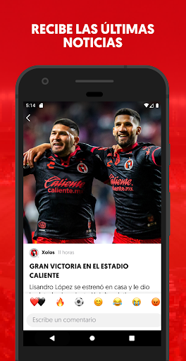 Xolos