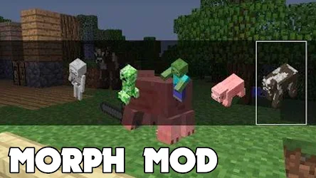 Morph Mod For Minecraft Pe Apk Apkdownload Com