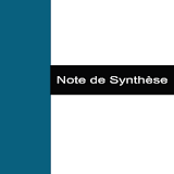 Note de Synthèse icon