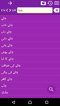 English Urdu Dictionaryのおすすめ画像4