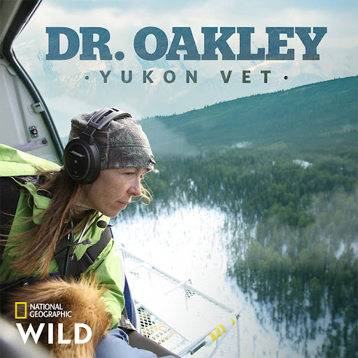 Dr. Oakley, Yukon Vet TV on Google Play