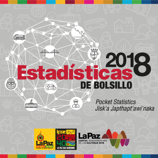 Estadísticas de Bolsillo 2018 logo