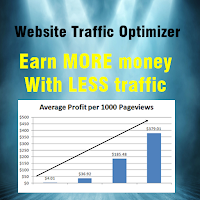 Website Traffic Optimizer