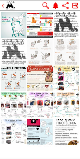 D.A.A.Z DIFUSIÓN Y AYUDA ANIMAL ZARAGOZA