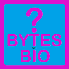 Bytes on Bio Quiz 1HV1 - Screenshot 1