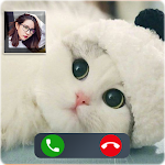 Cover Image of 下载 Cat Video Call : call fake, prank tom call 1.0 APK