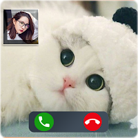 Cat Video Call  call fake prank tom call