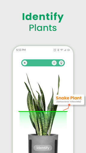 Plant Identifier: AI Plant App screenshot 8