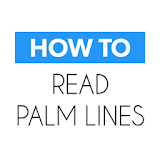 How To Read Palm Lines icon