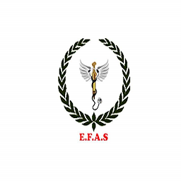 Icon image EFAS Niger