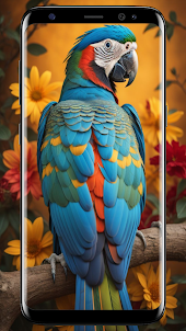 Parrot Wallpapers 4K
