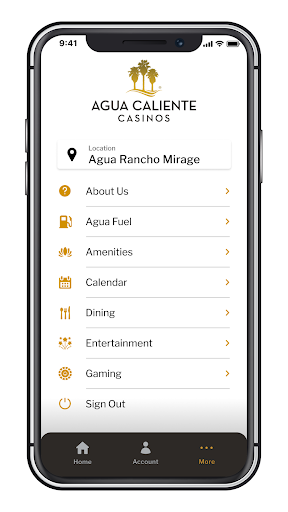 Agua Caliente Screen 3