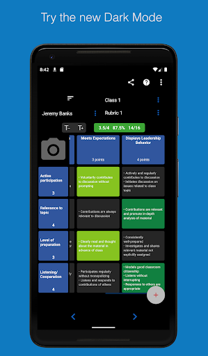 Rubric Scorer Screen 2