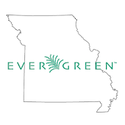 Missouri Evergreen