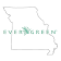 Missouri Evergreen icon