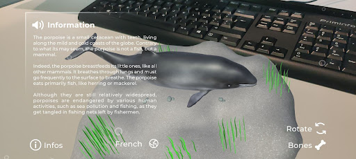 Aquarium Museum AR Screen 2